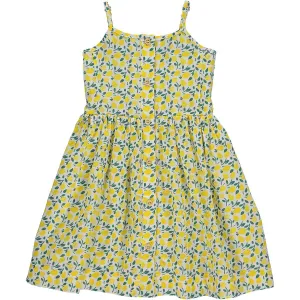 Brooklyn Dress