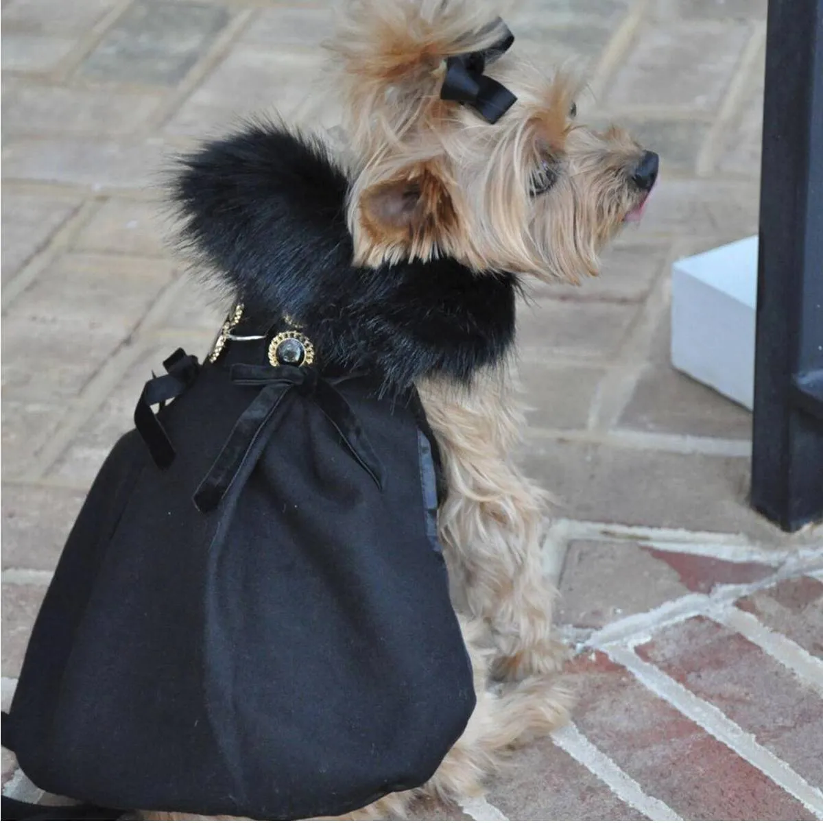 Wool Dog Coat Fur Trimmed in Black