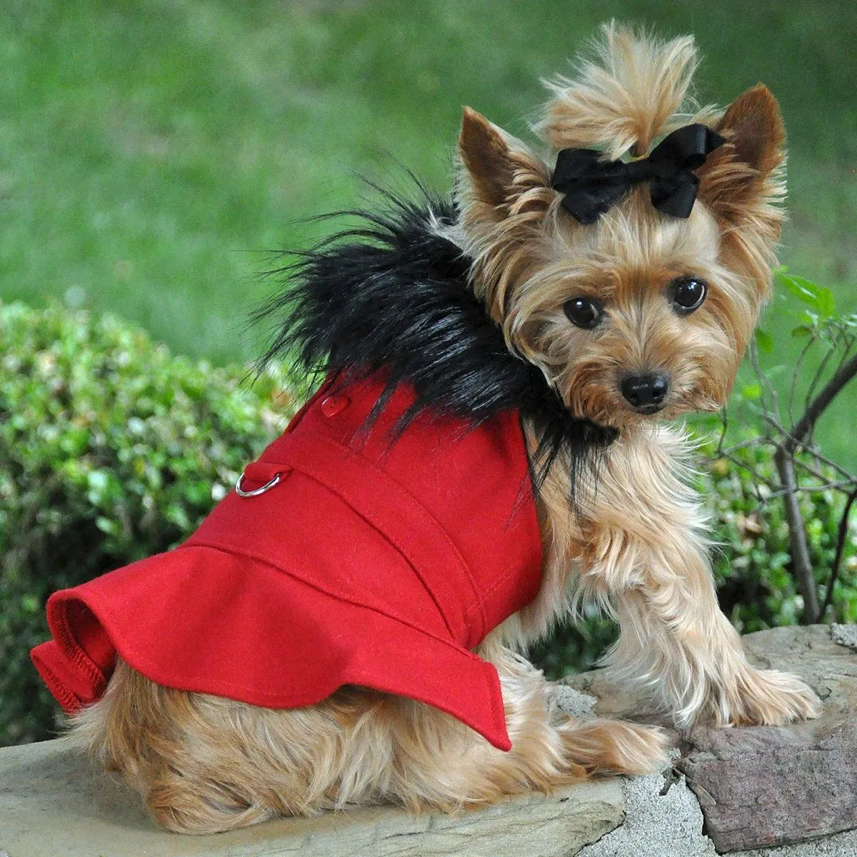 Wool Dog Coat Fur Trimmed in Red