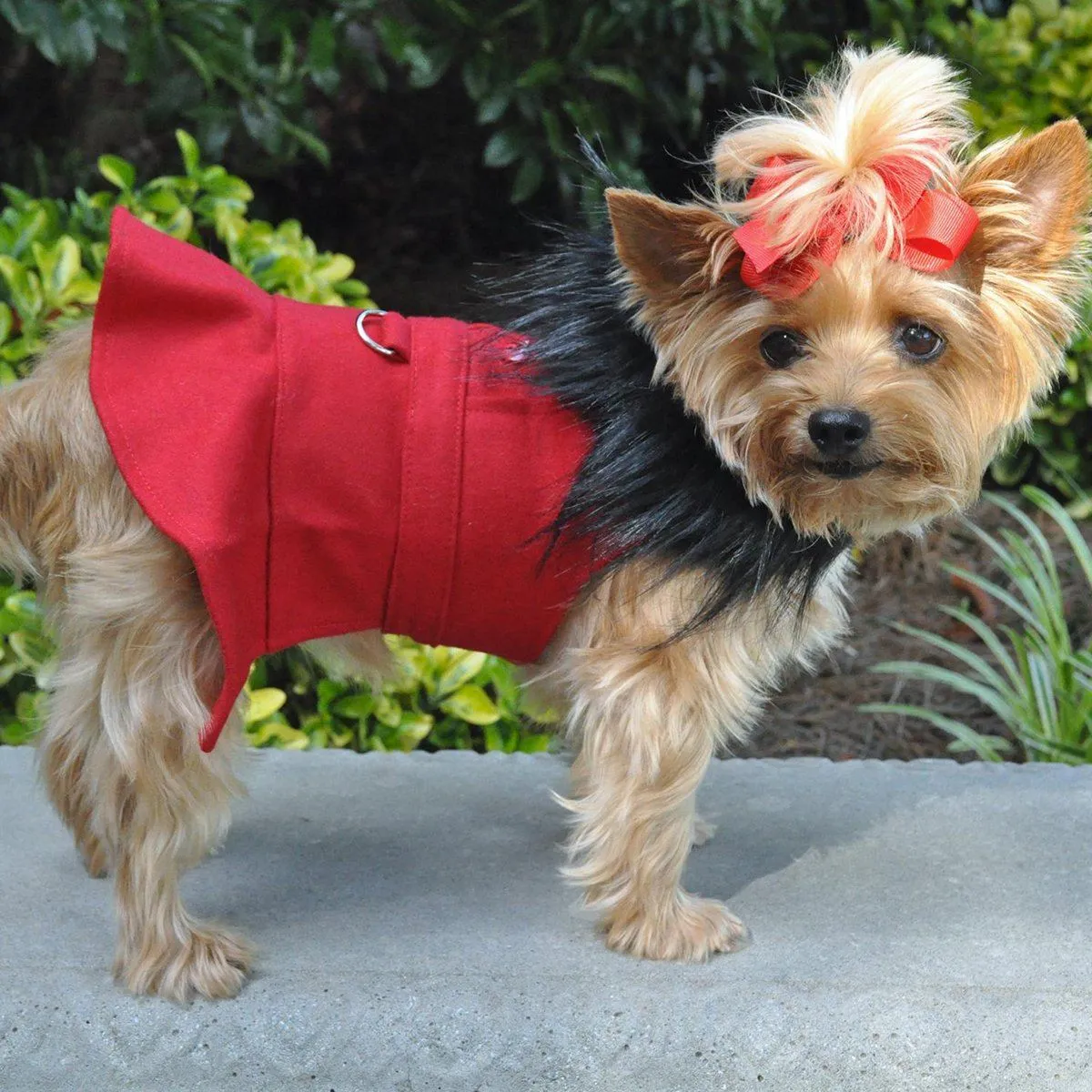 Wool Dog Coat Fur Trimmed in Red